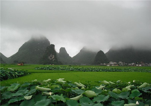 沈阳墓园，沈阳陵园