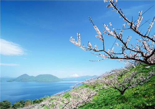 沈阳墓园，墓园风水