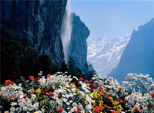 沈阳墓园，墓园风水