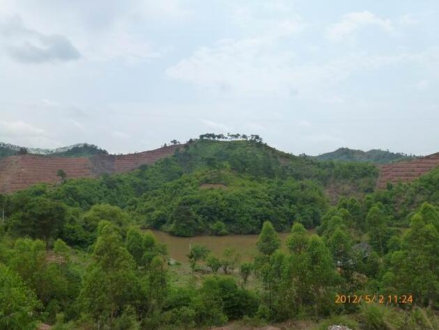 墓地好风水